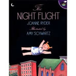 The Night Flight The Night Flight